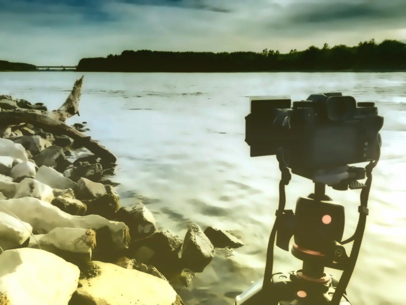 Interaktive Übung während einer Live-Bearbeitungssession